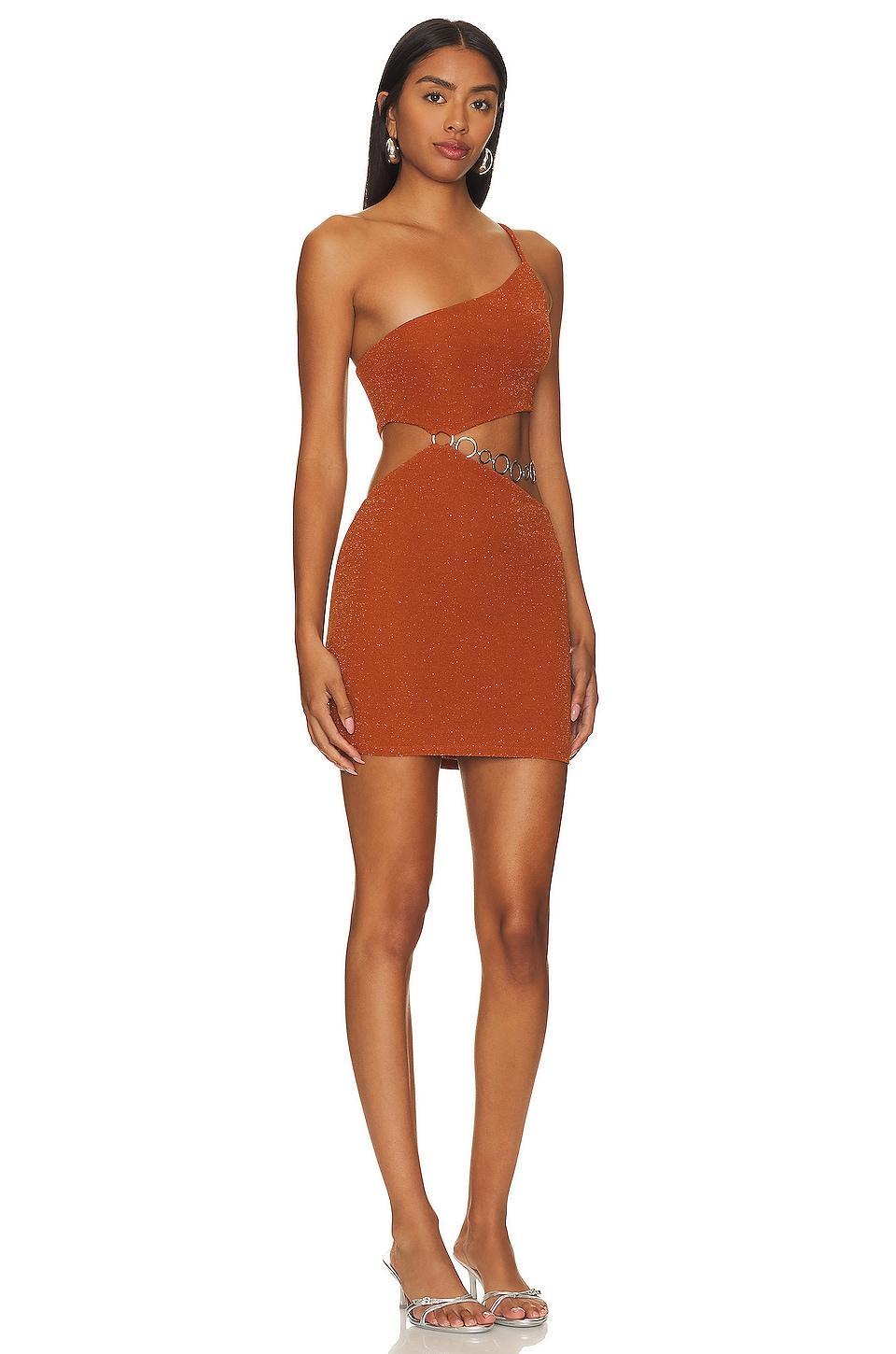 Kiana Mini Dress Lovers and Friends Product Image