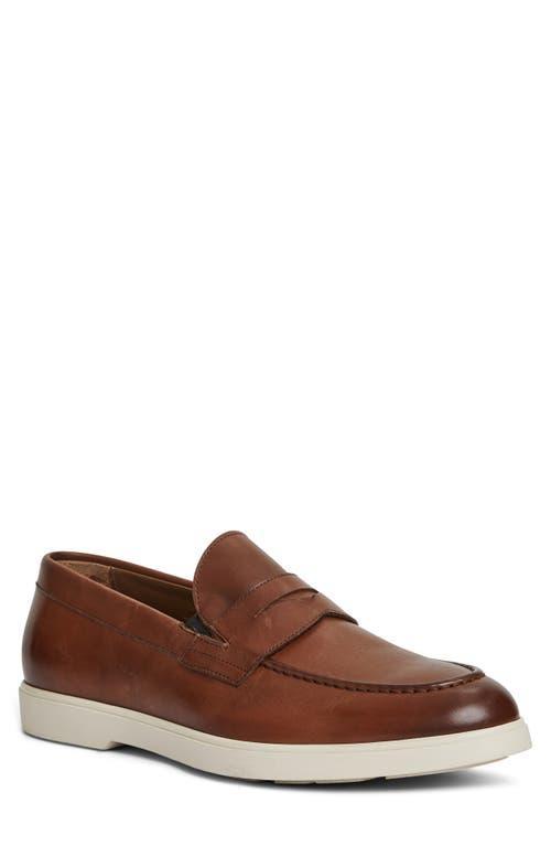 Mens Ettore Leather Penny Loafers Product Image