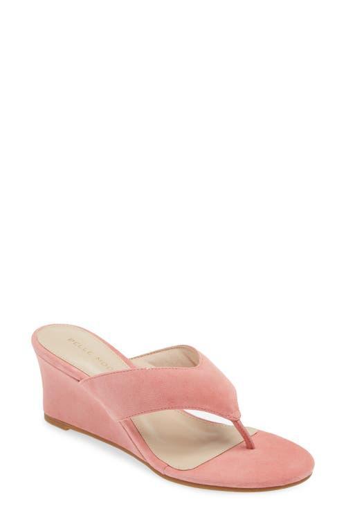 Pelle Moda Abi Sandal in Flamingo Pink at Nordstrom, Size 6 Product Image