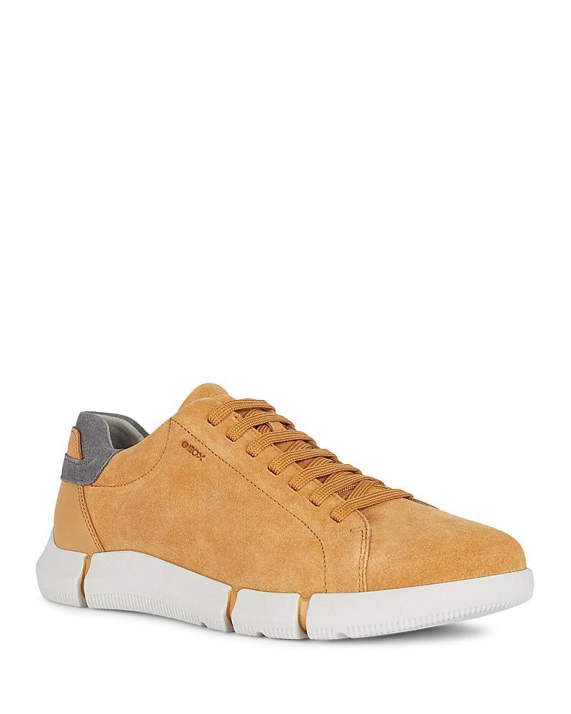 Geox Mens Adacter Suede Low Top Sneakers Product Image