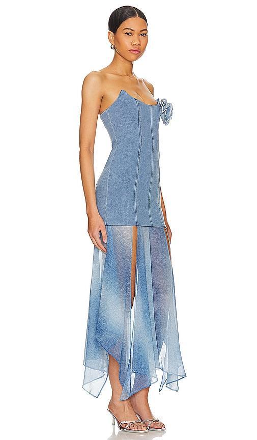 Britney Maxi Dress Product Image