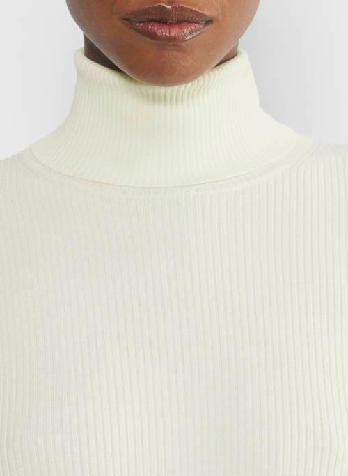 compel turtleneck Product Image