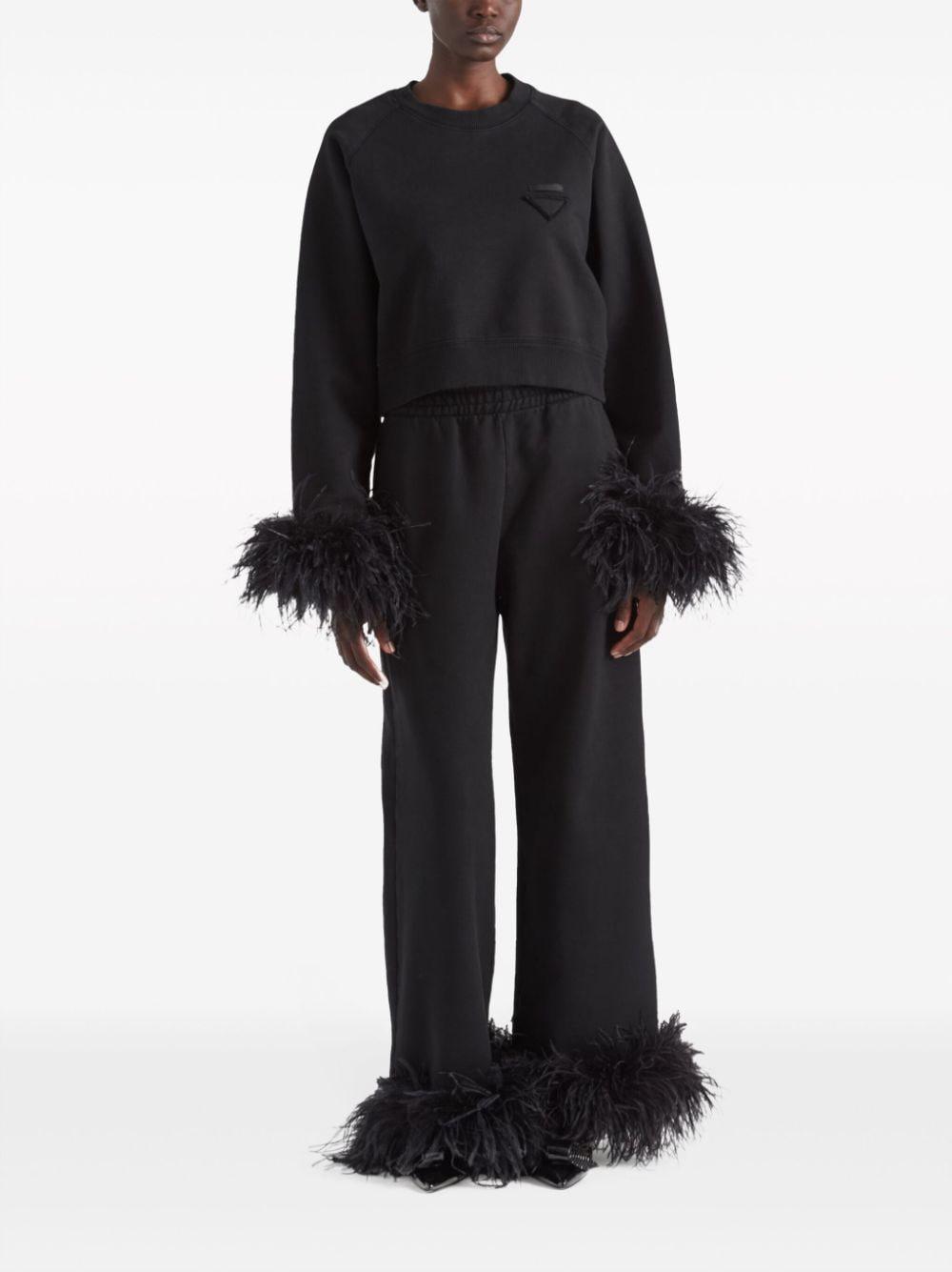 Crew-neck Sweatshirt With Feather Trim In Black Product Image