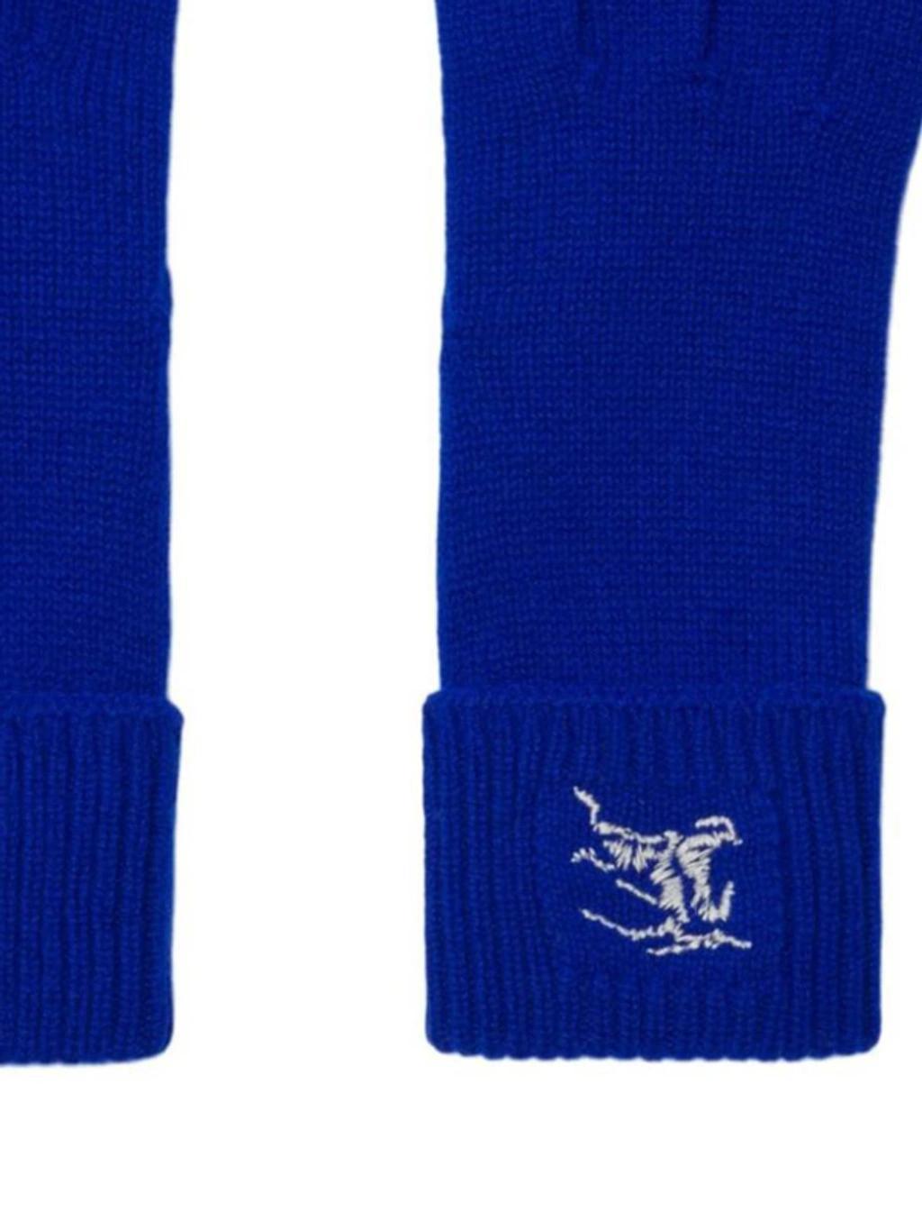 Gloves In Blue Product Image