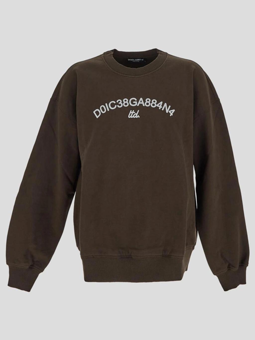 Logo Printed Crewneck Sweatshirt In Brown Product Image