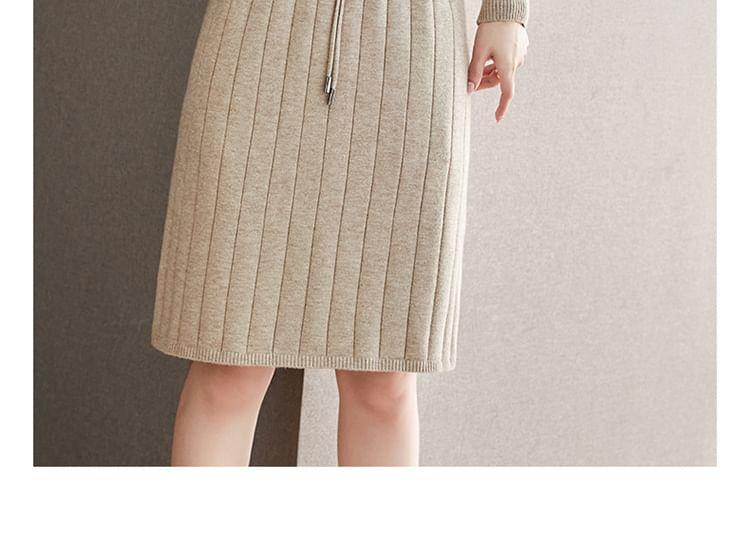 Long-Sleeve Contrast Trim Knit A-Line Pleated Dress Product Image