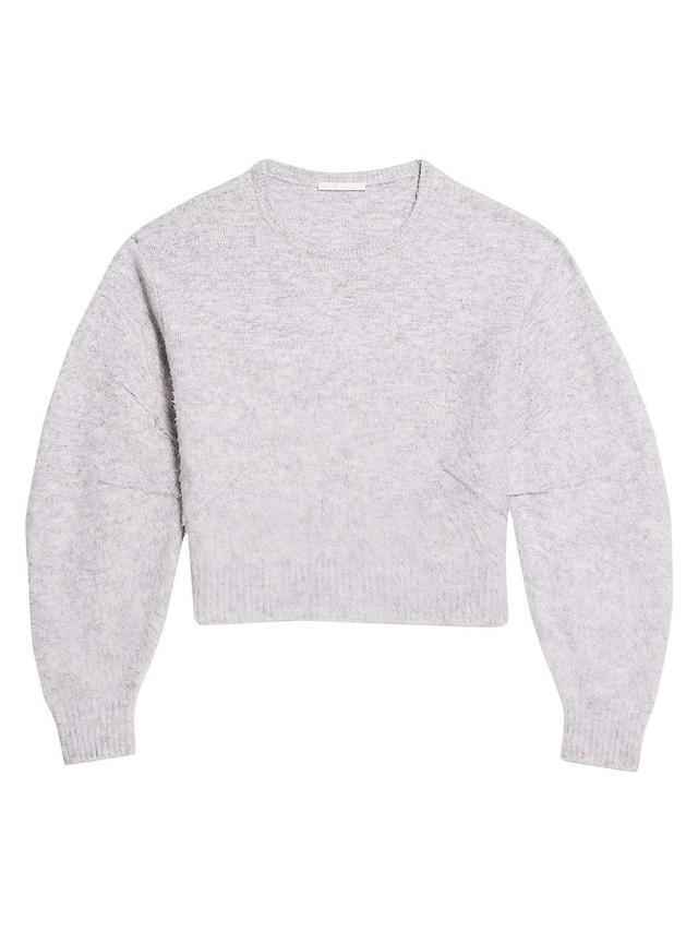 Womens Apex Crewneck Brushed Sweater Product Image