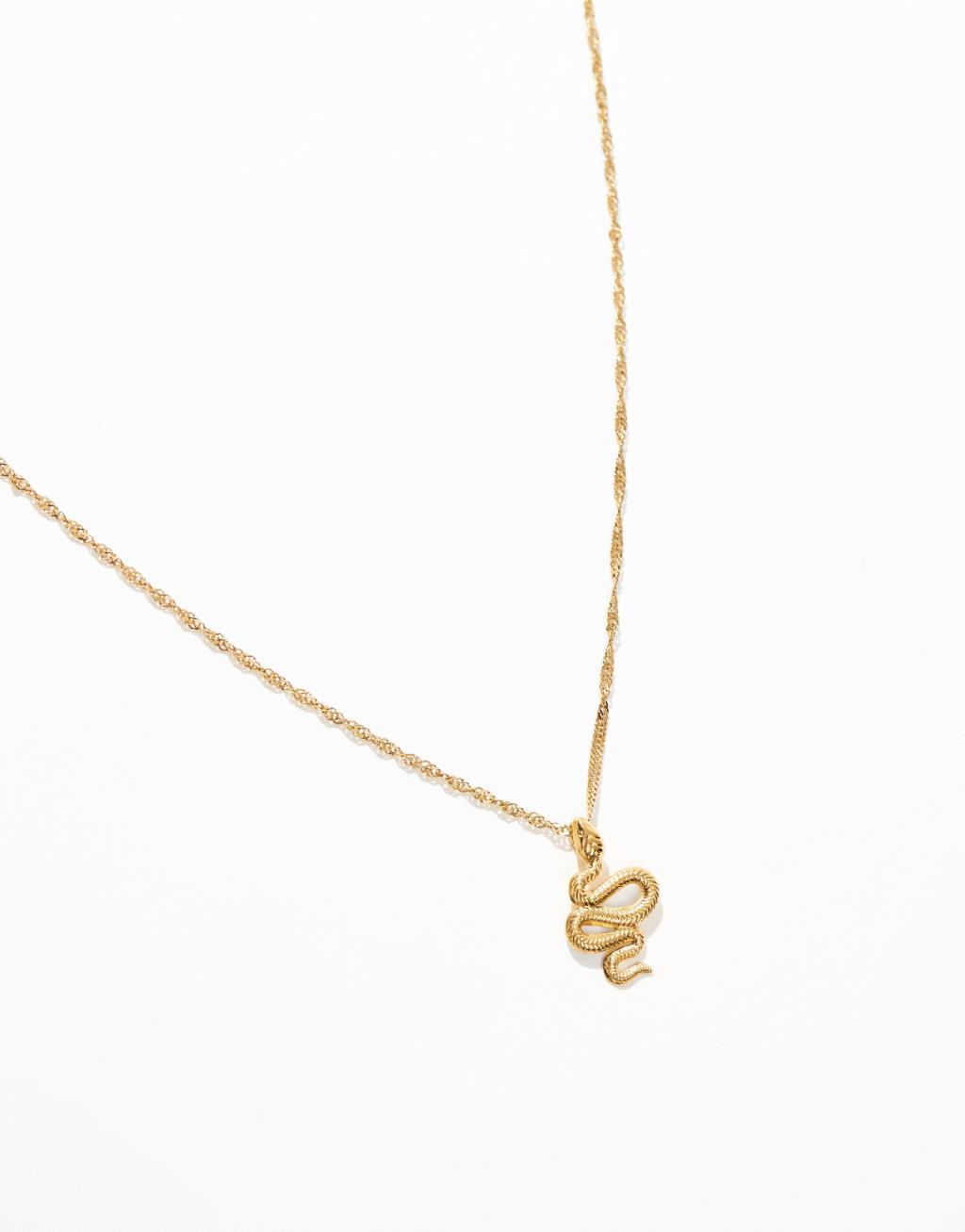 ASOS DESIGN waterproof stainless steel necklace in snake design in gold tone Product Image