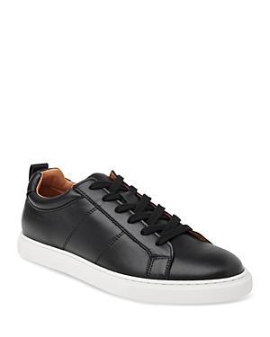 Whistles Womens Koki Lace Up Trainer Product Image