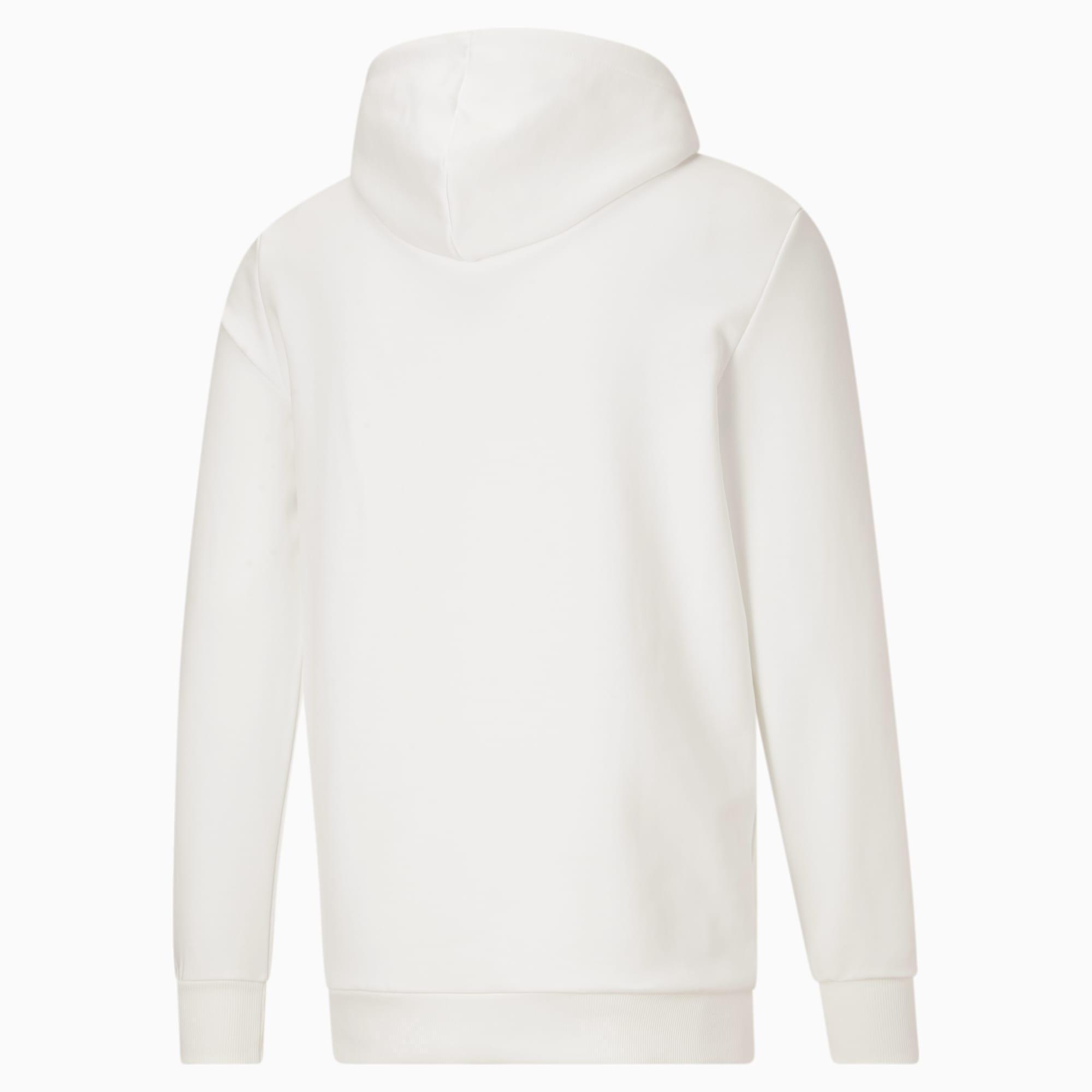 Classics Men's Logo Hoodie FL Product Image