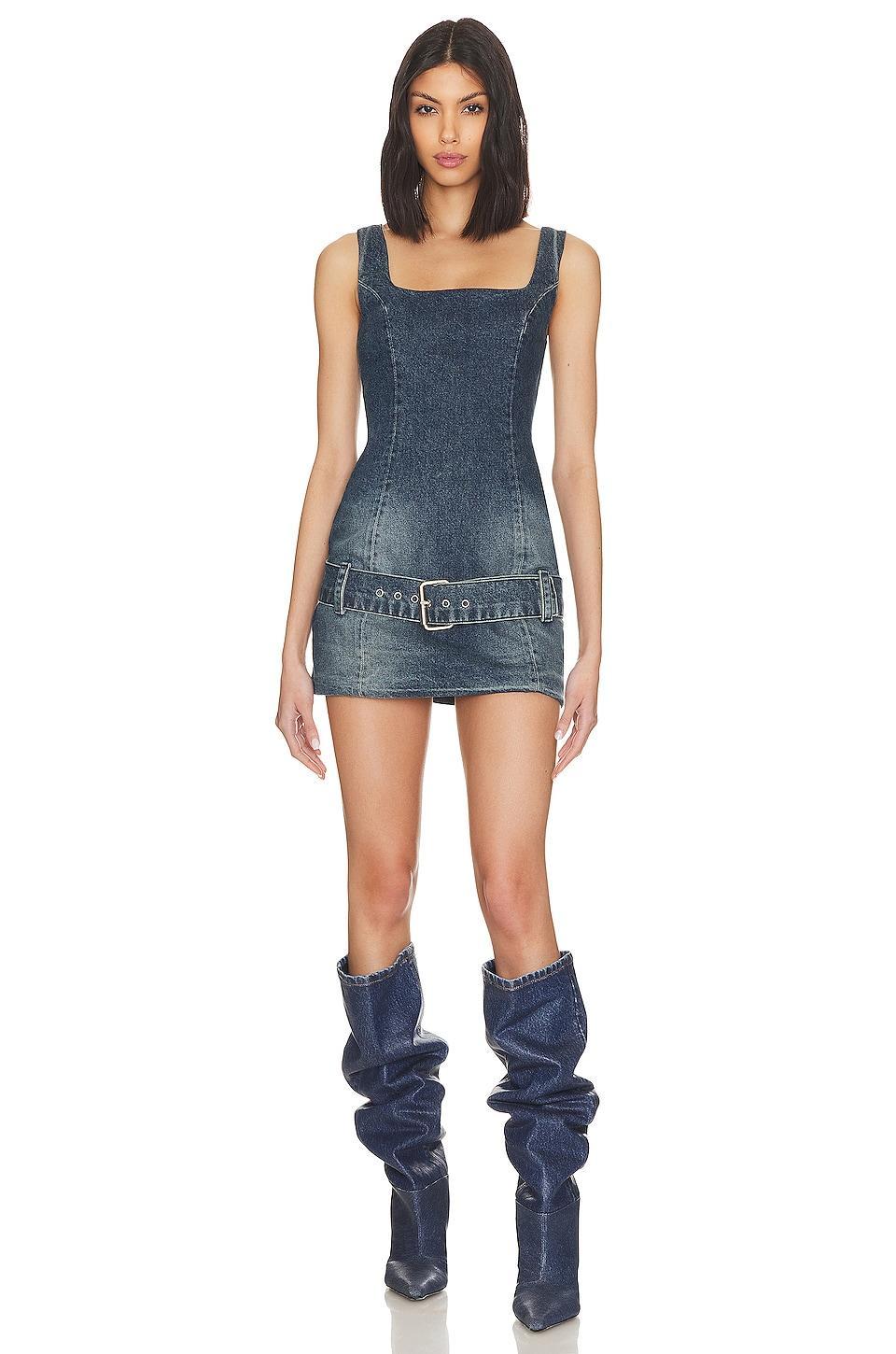 Firefly Dress EB Denim Product Image