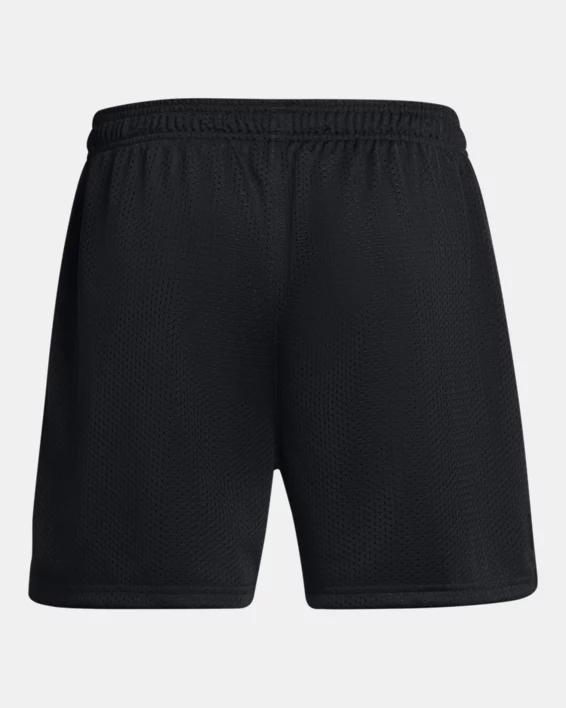 Men's UA Icon Mesh Shorts Product Image