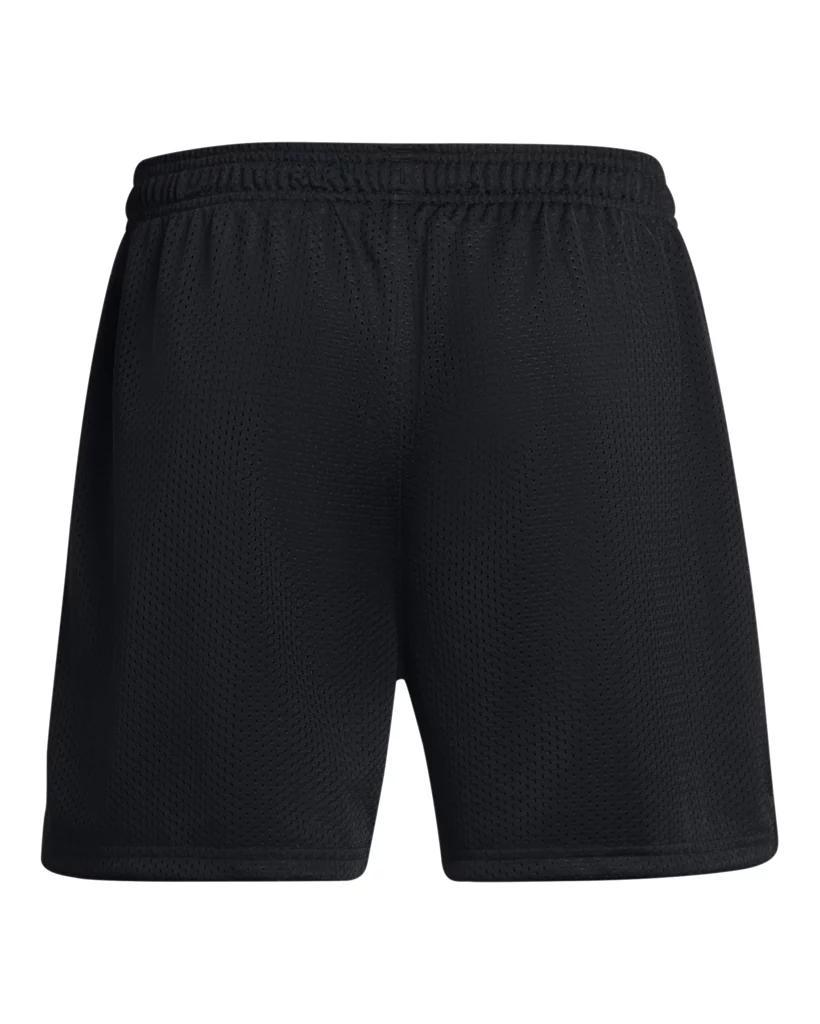 Men's UA Icon Mesh Shorts Product Image