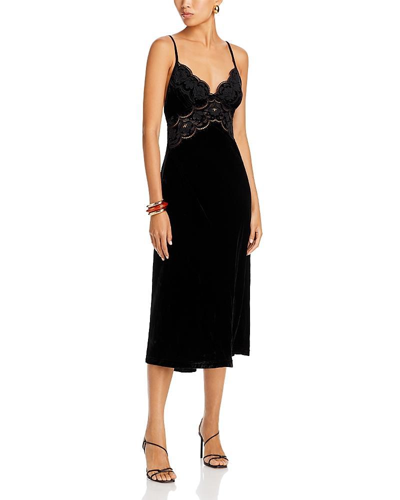 Farm Rio Richelieu Velvet Lace Dress product image