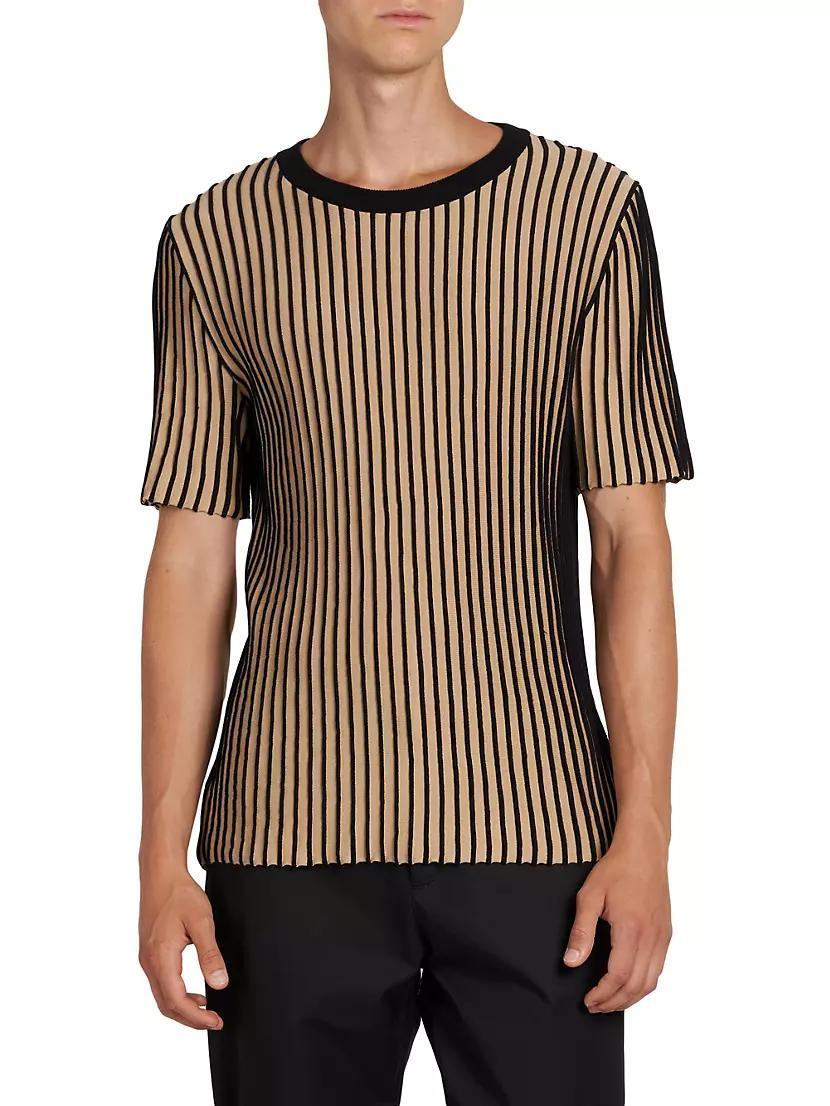 Striped Knit T-Shirt Product Image