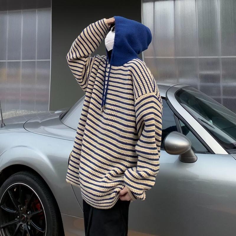 Striped Knit Hoodie Product Image