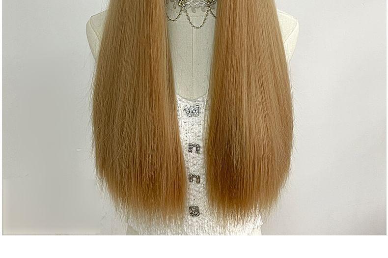 Long Full Wig - Straight Product Image