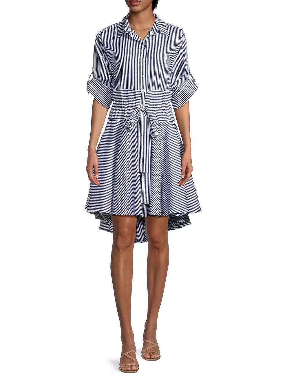 Meadow Striped Shirtdress Product Image