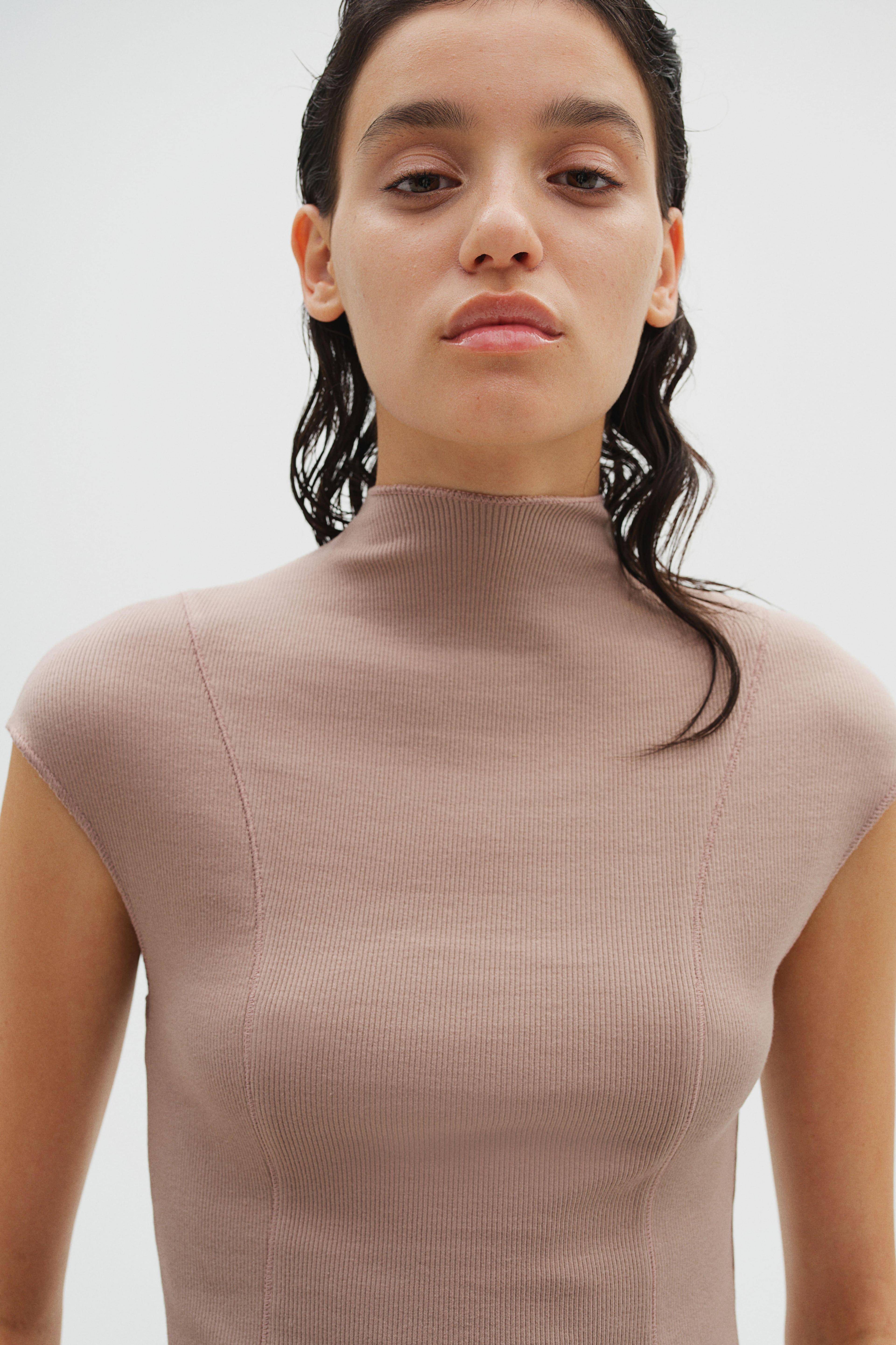 Ribbed Mock Turtleneck Top Product Image