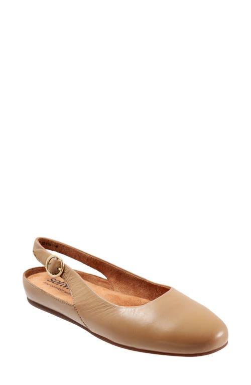 SoftWalk Sandy Slingback Flat Sandal Product Image