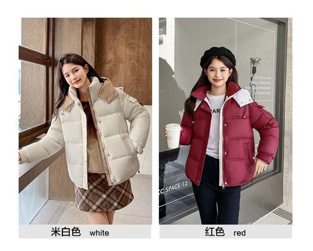 Stand Collar Two Tone Heart Applique Hooded Zip-Up Puffer Jacket Product Image