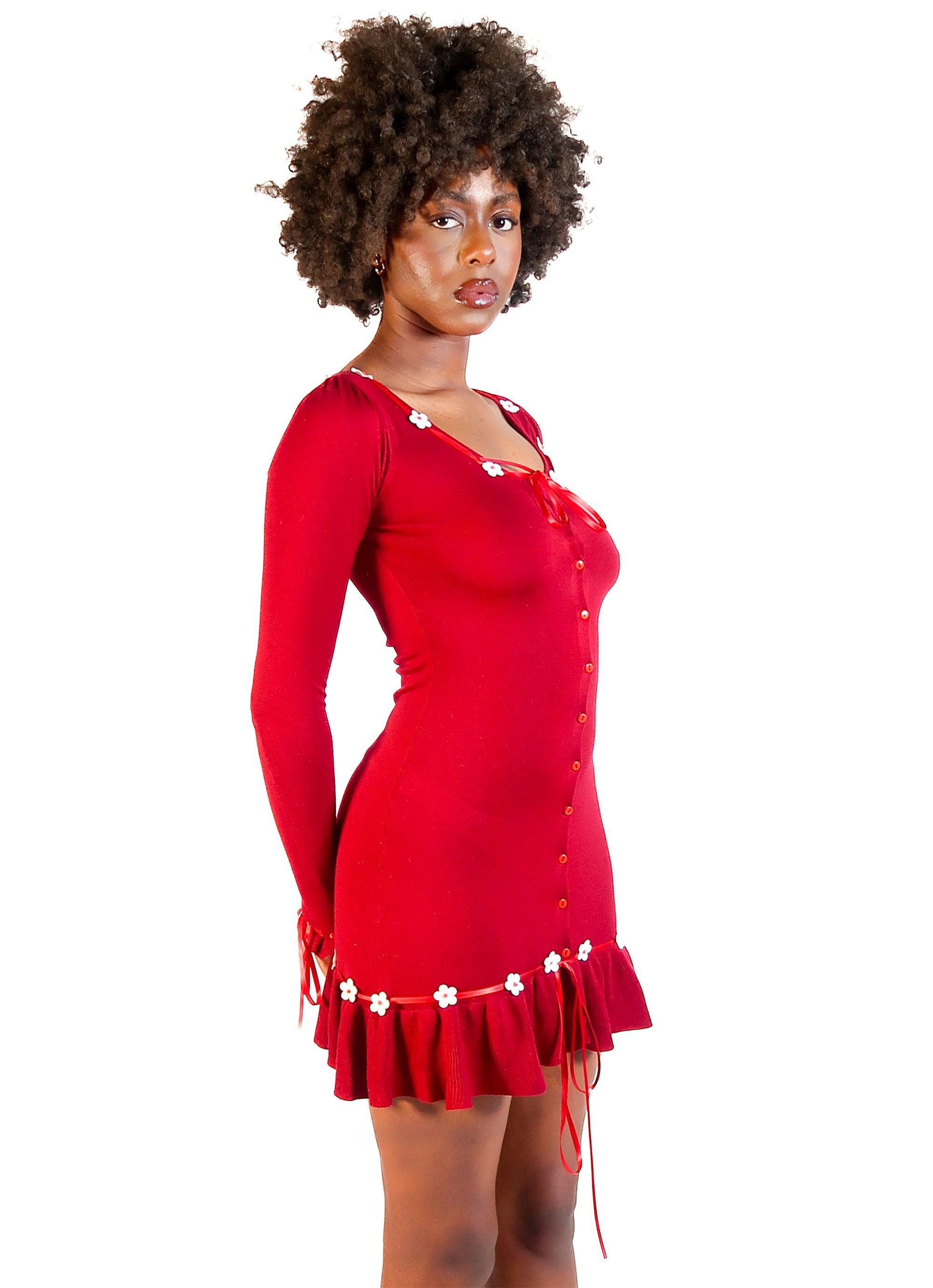 Inaya Mini Dress Red Product Image