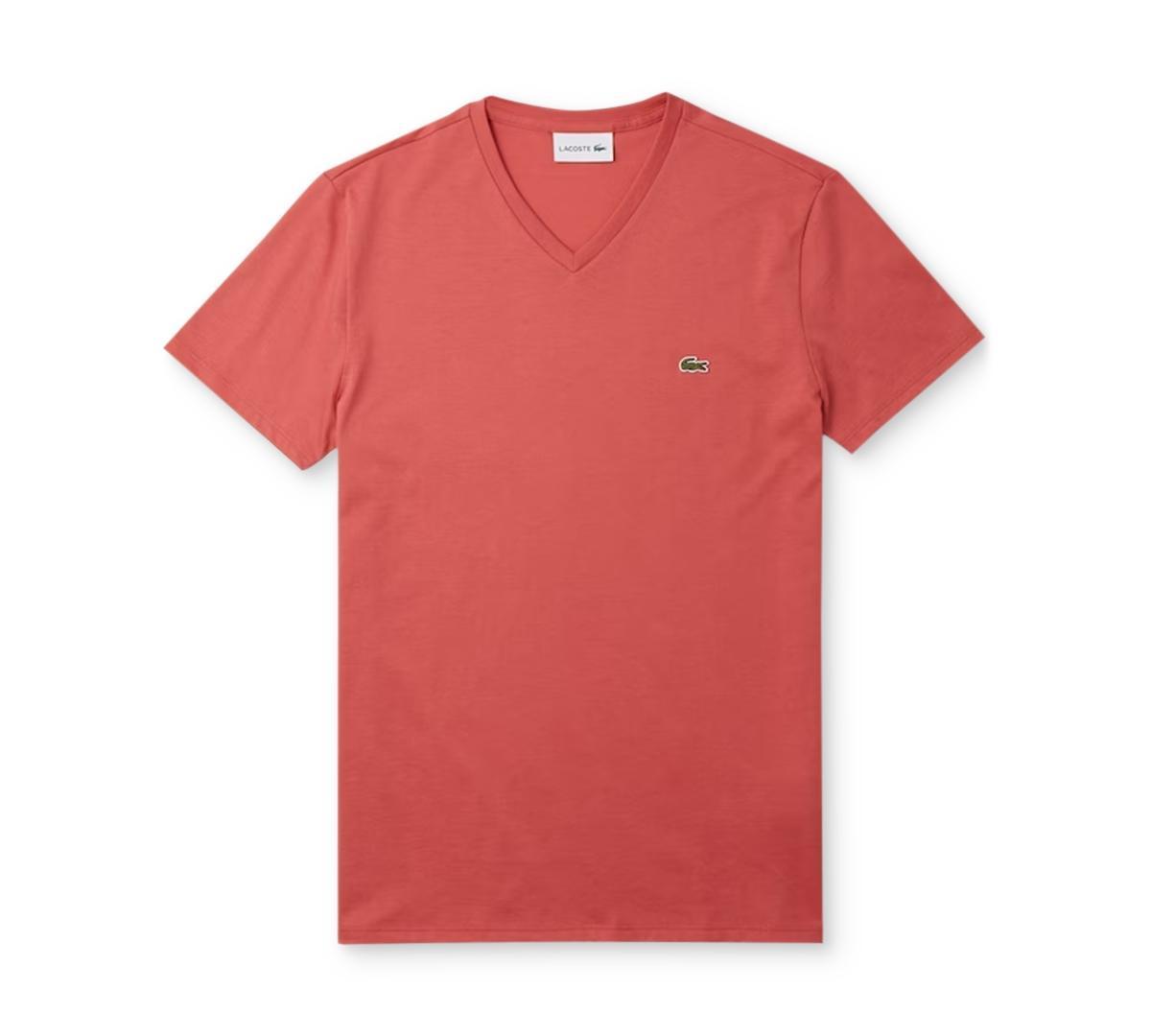 Mens V-Neck Pima Cotton Tee Shirt Product Image