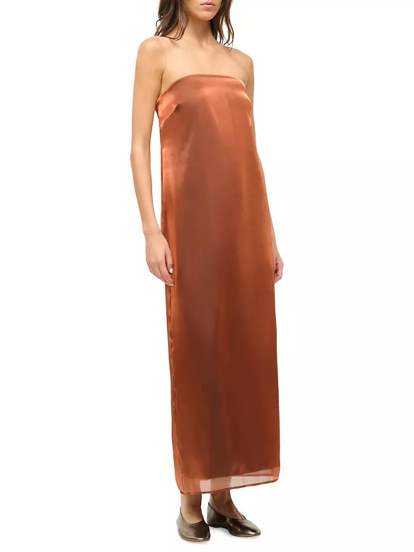 Casey Strapless Maxi Dress Product Image