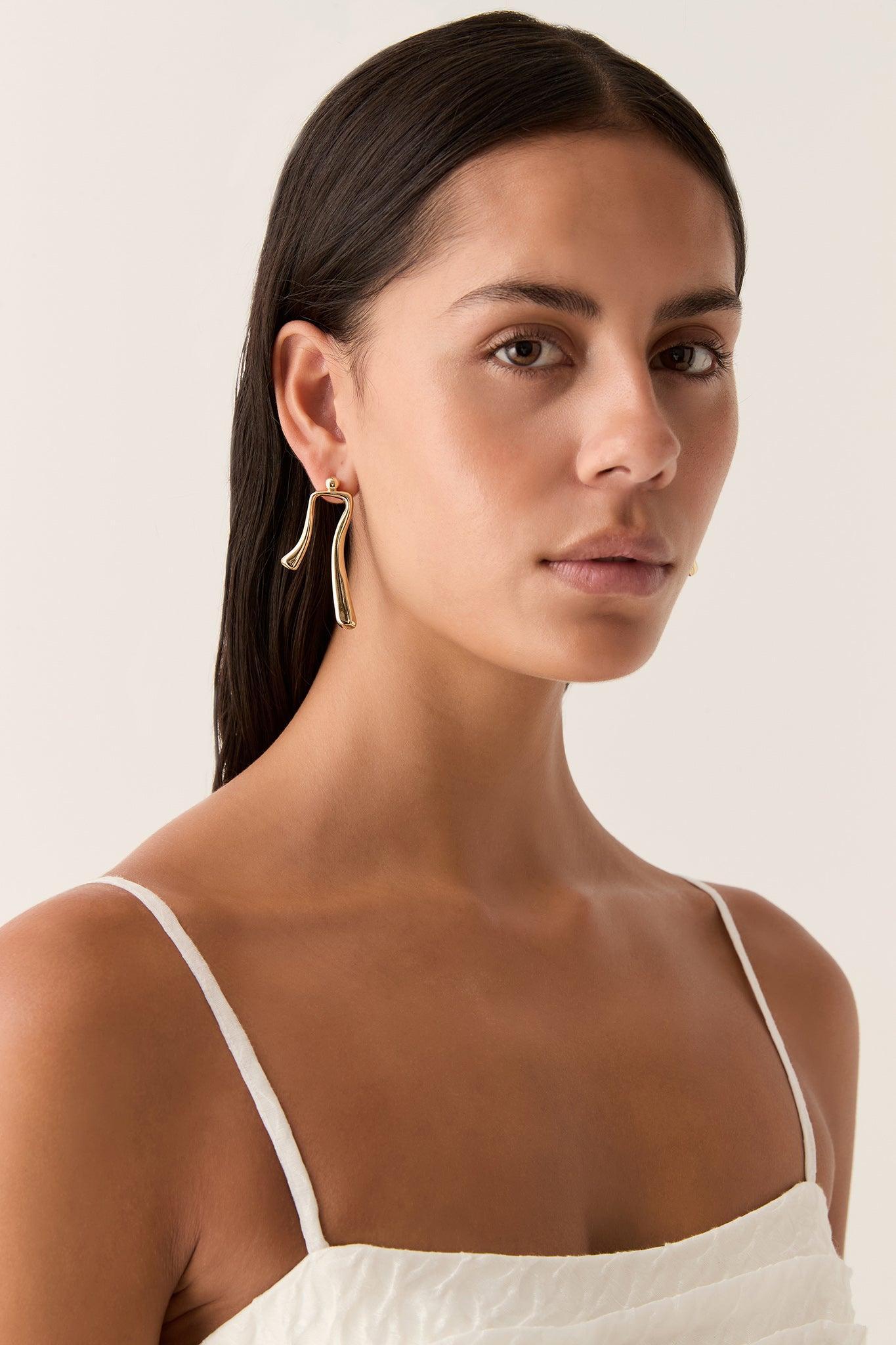 Momentum Drop Earring Product Image