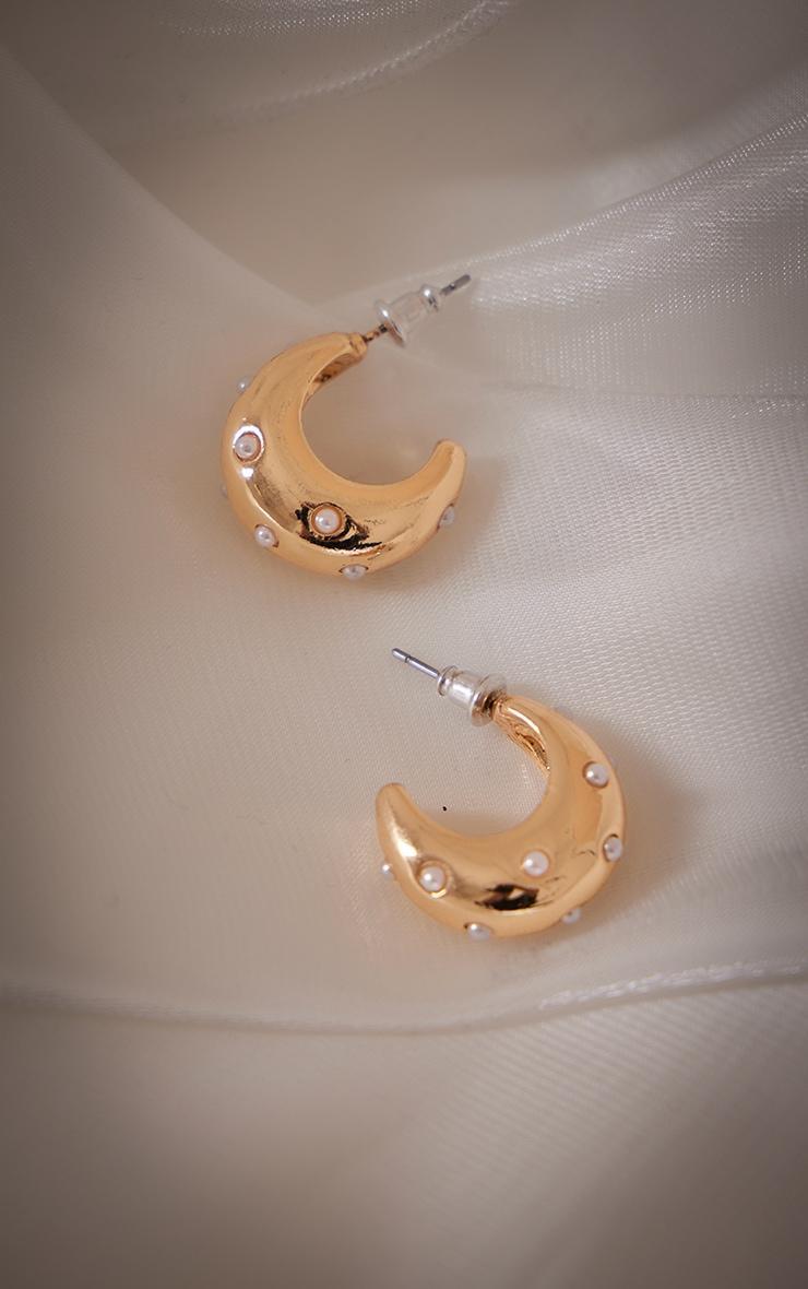 Gold Circle Jewel Detail Hoop Earrings Product Image