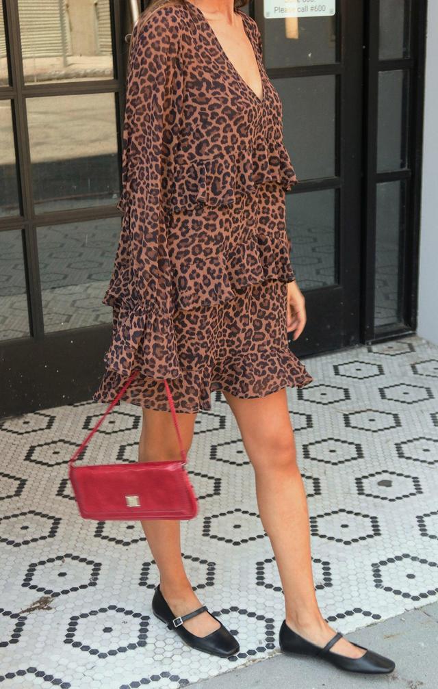 Fleetwood Mini Dress ~ Leopard Latte Product Image