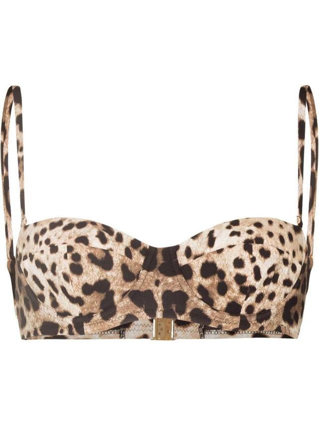 DOLCE & GABBANA Leopard-print Balconette Bikini Top In Brown Product Image