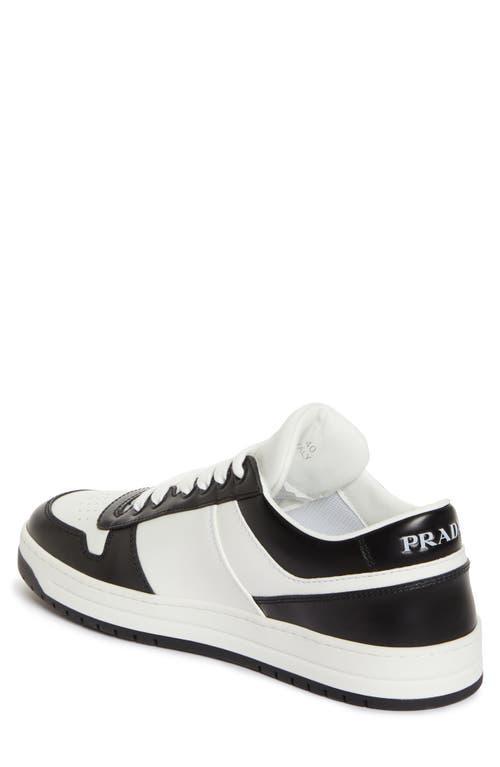 Downtown Brand-plaque Leather Low-top Trainers In Bianco Nero Product Image