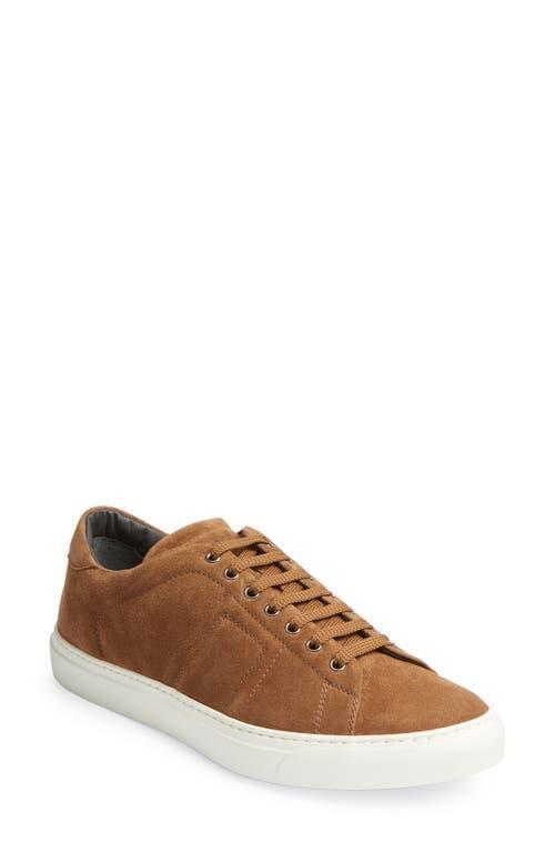 To Boot New York Quintin (Sigaro F.Pan) Men's Shoes Product Image