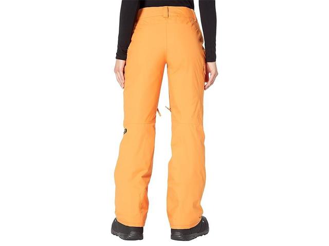 The North Face Freedom Insulated Pants (Topaz) Women's Casual Pants Product Image