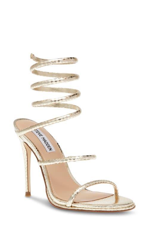 Steve Madden Exotica Ankle Wrap Sandal Product Image