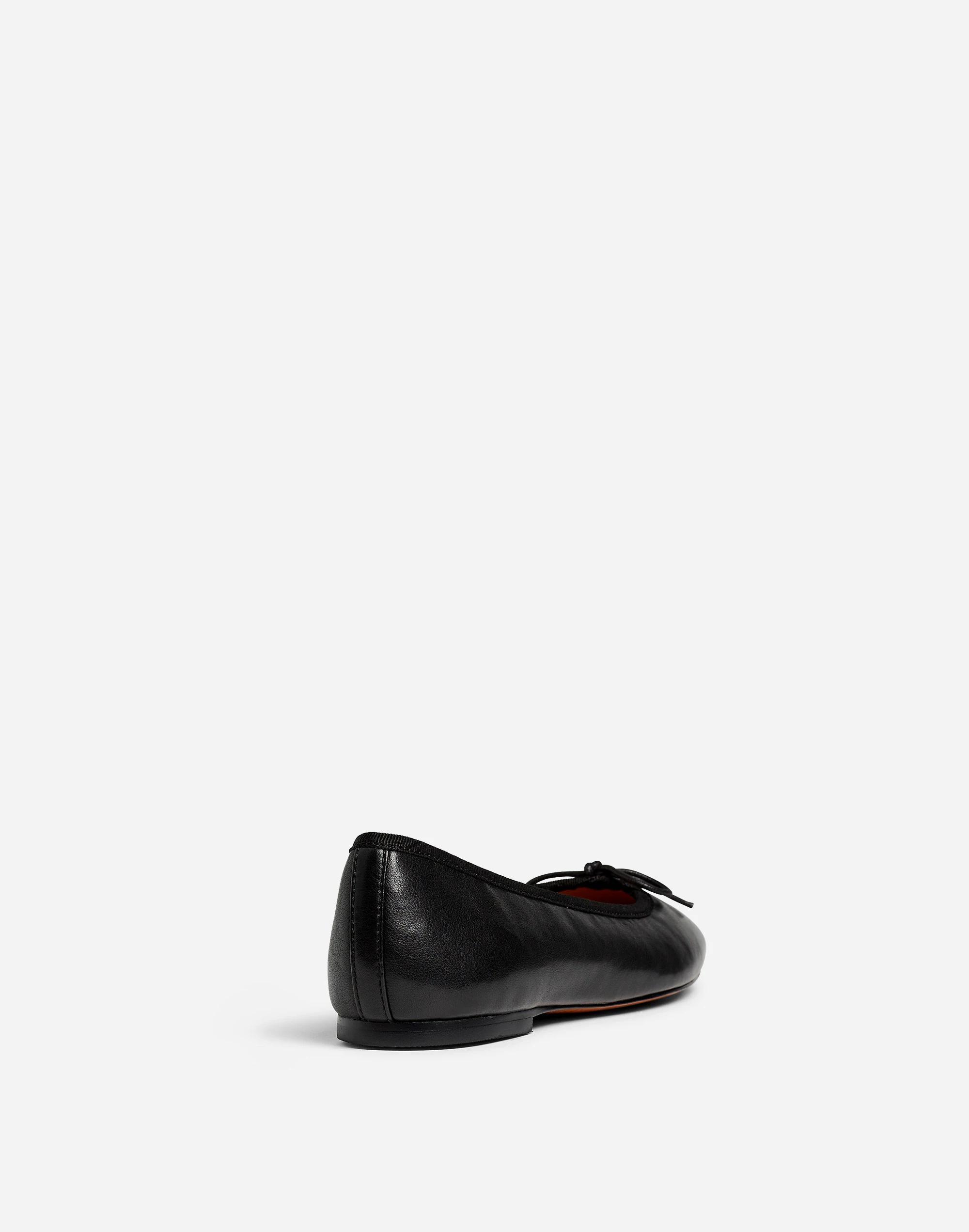 The Anelise Ballet Flat Product Image