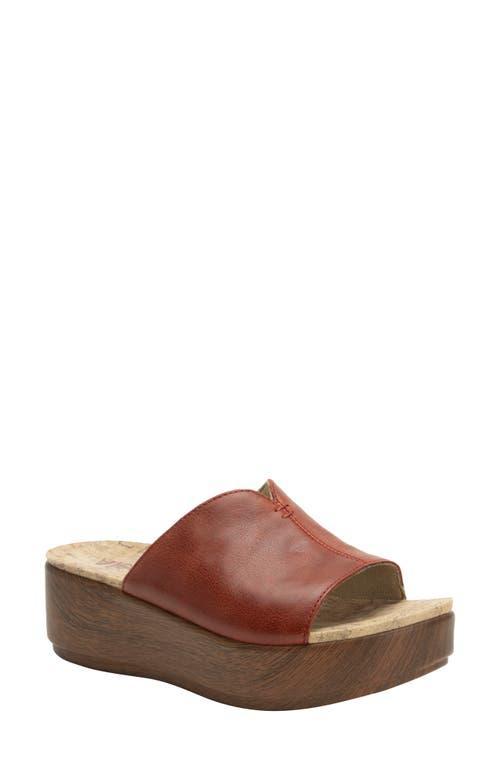 Alegria by PG Lite Triniti Platform Wedge Slide Sandal Product Image