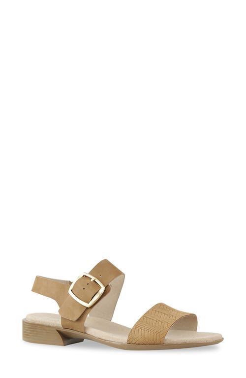 Munro Cleo Sandal - Multiple Widths Available Product Image