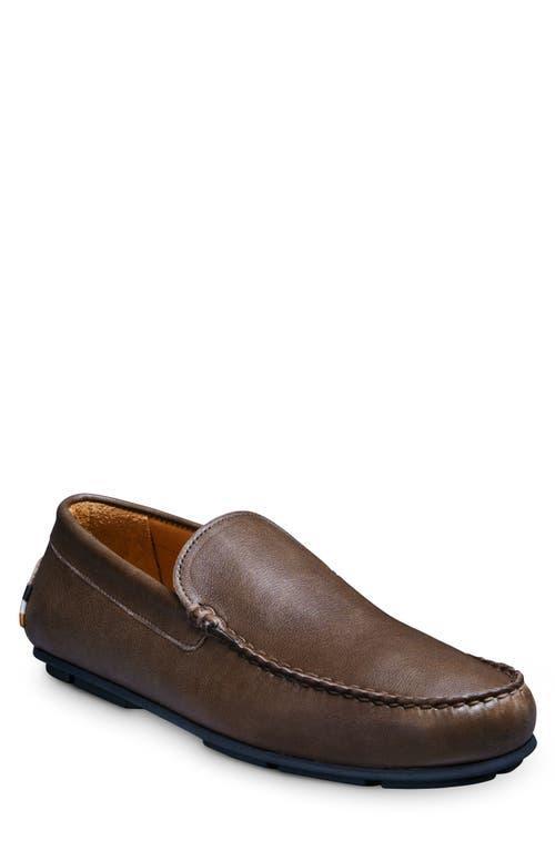 Allen Edmonds Santiago Slip On Drivers Leather) Men's Lace-up Boots Product Image