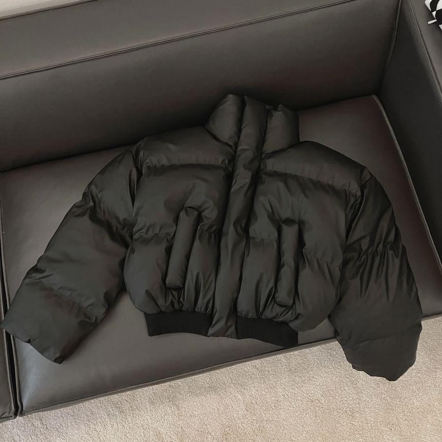 Plain Zip Puffer Jacket Product Image