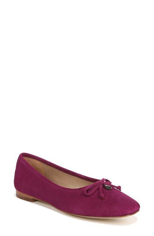 Sam Edelman Meadow Ballet Flat Product Image