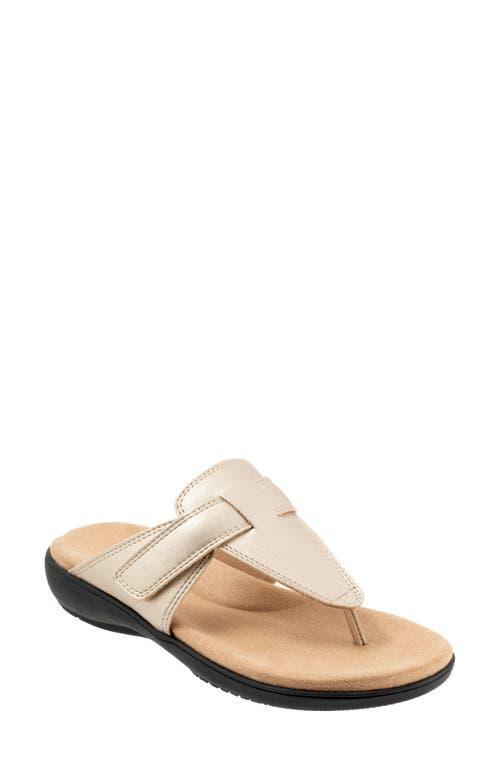 Trotters Robin Flip Flop Product Image