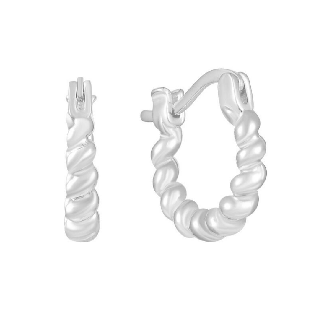 Double Trouble Earrings Product Image