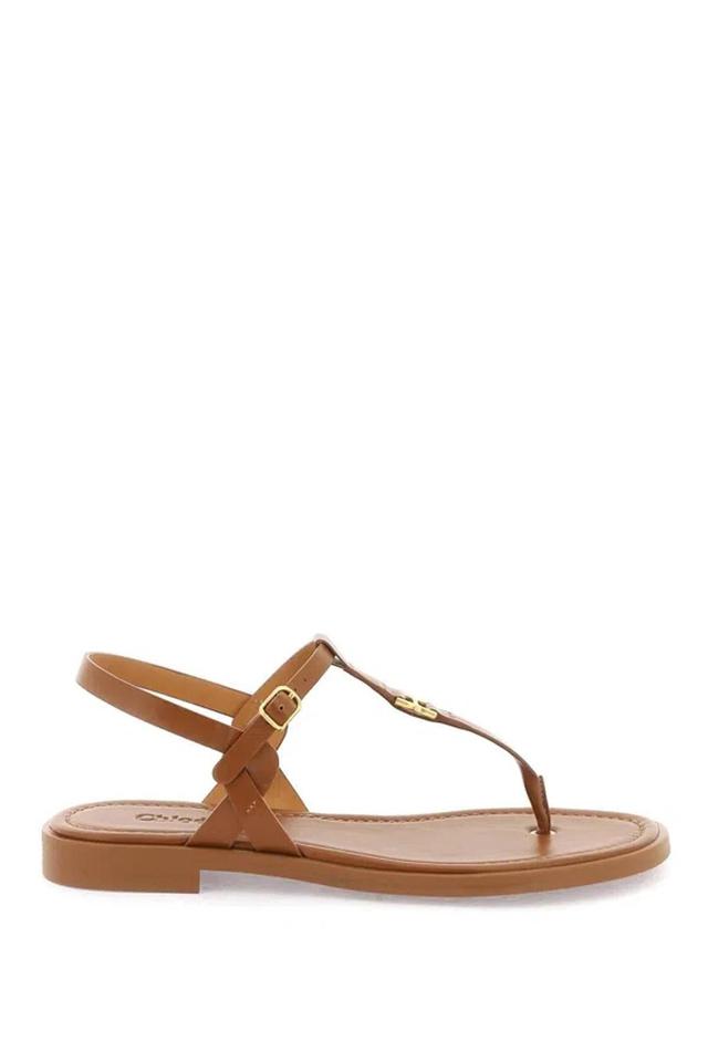 CHLOÉ Marcie Sandals In Brown Product Image