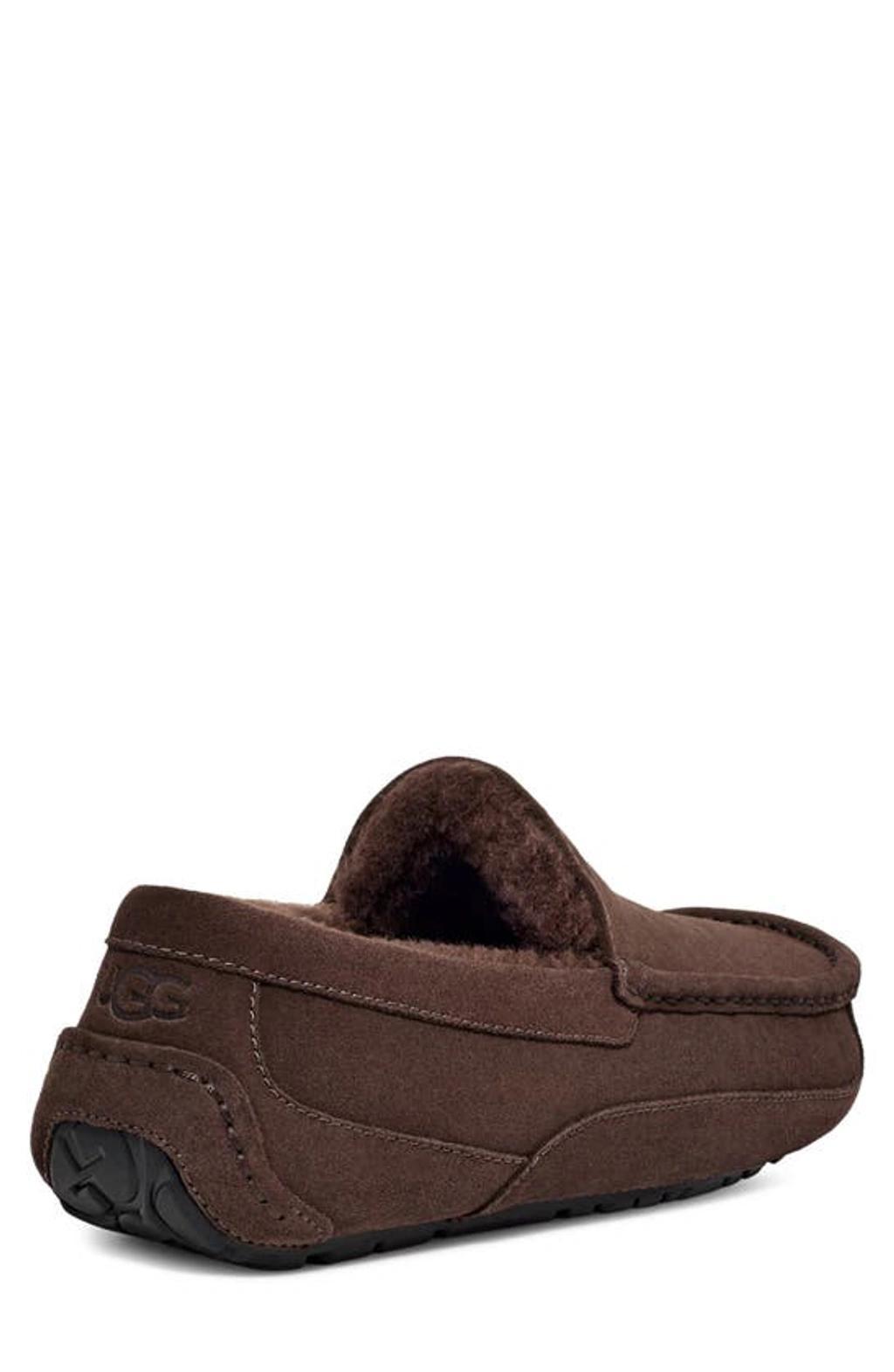 UGG Ascot Mens Slipper In Dusted Cocoa Product Image