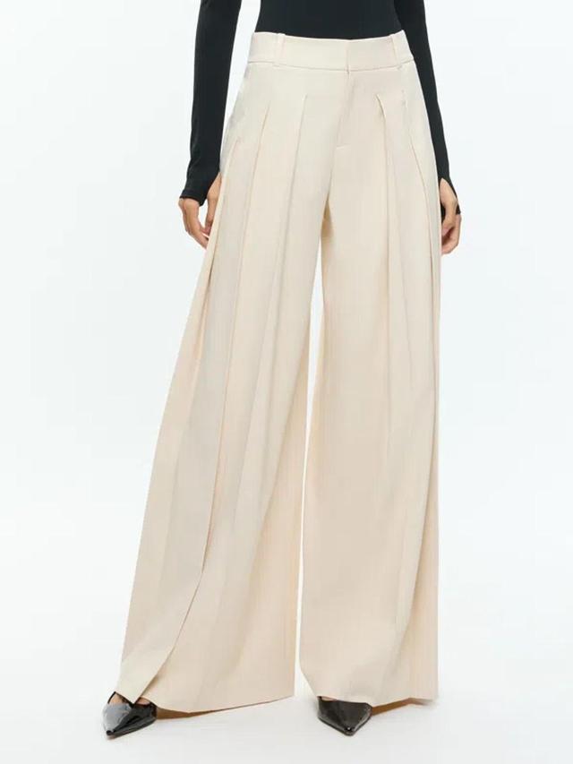 ALICE AND OLIVIA Simon High Rise Wide Leg Pleated Trouser In Solid Oatmeal Product Image