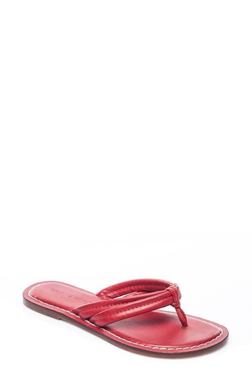 BERNARDO FOOTWEAR Bernardo Miami Sandal Product Image