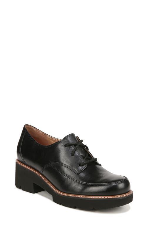 Naturalizer Darry Lace-Up Derby Product Image