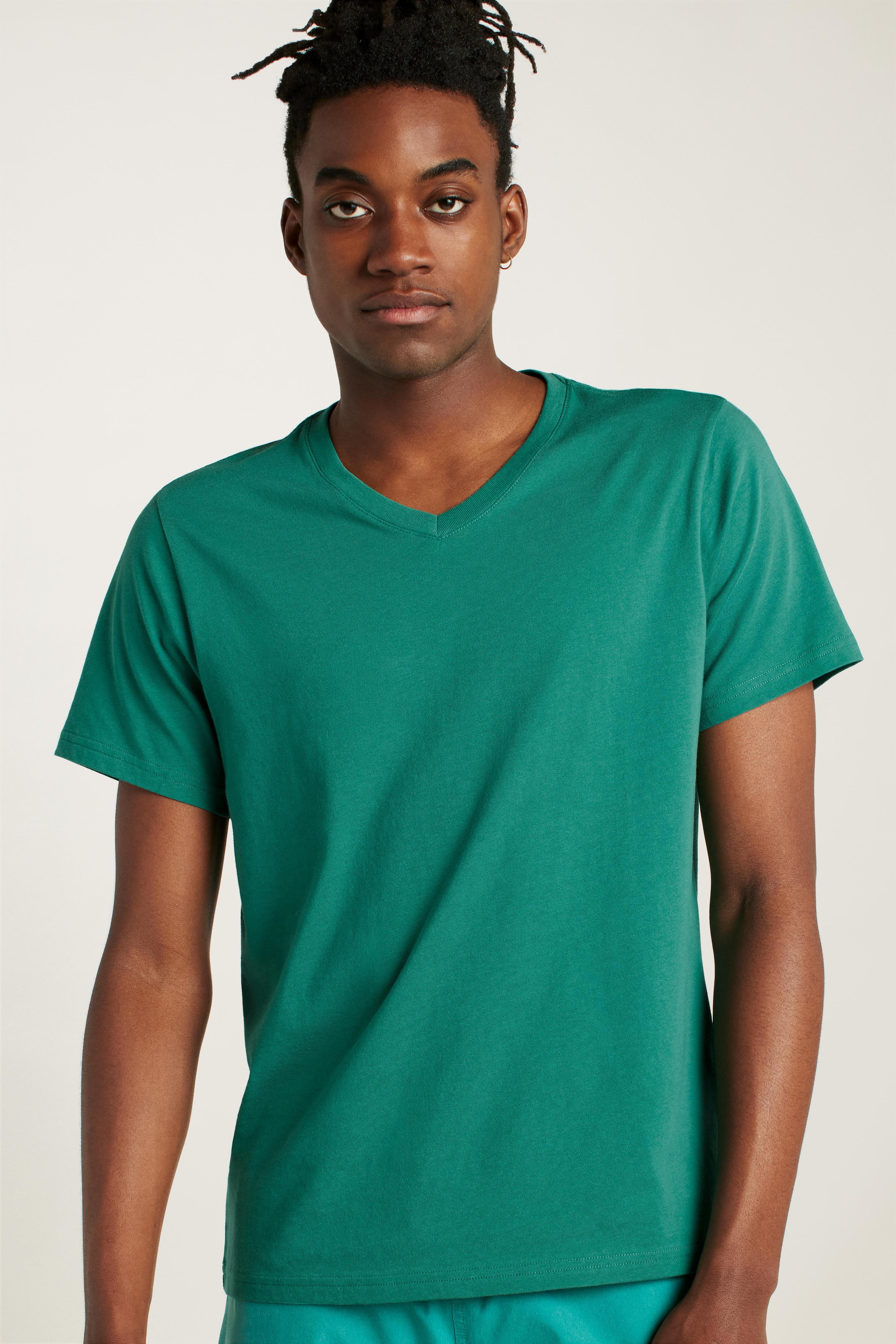 Organic Cotton V-Neck Tee Product Image